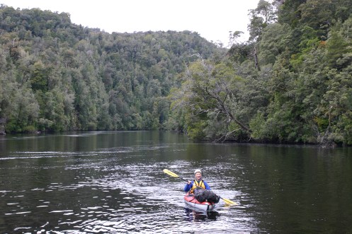 Lower Gordon 2, Dale