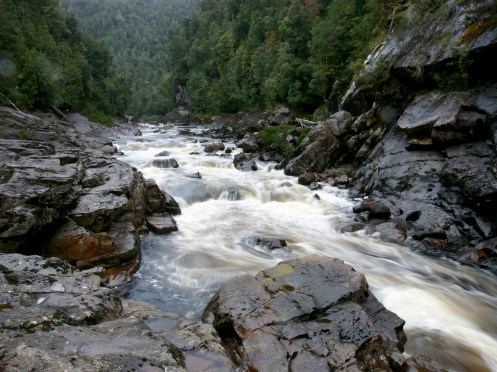 Newland's Cascades 1