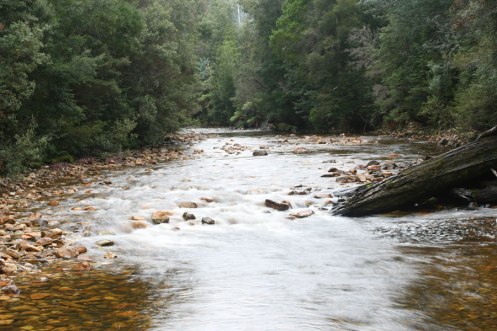 Weld at the Snake Junction.